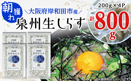 
大阪岸和田市産　＜鮮度にこだわりました!＞泉州生しらす　200g×4パック【1130850】
