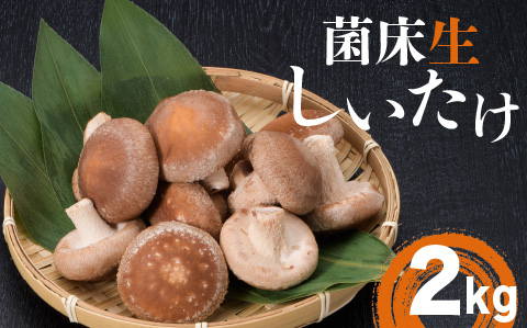葛尾村産菌床しいたけ2kg