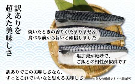 訳あり 塩さば フィーレ 約3kg 冷凍 おかず 惣菜 ｻﾊﾞ 鯖 海鮮 魚 大容量 鯖切身 鯖切り身 さば切身 さば切り身 切り身 切身 魚介 おつまみ 弁当 人気 不揃い 規格外 傷 冷凍食品 グ