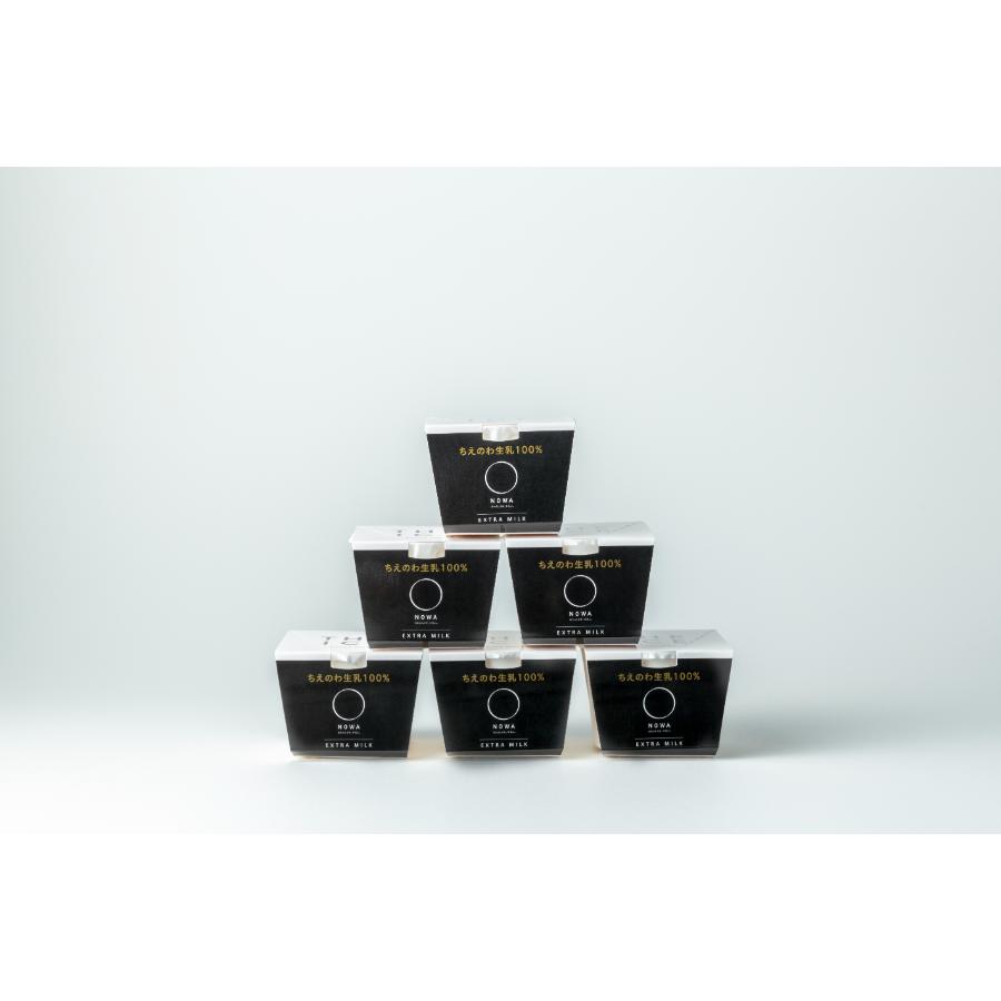 ＜NOWA＞THE ICE　EXTRA MILK 100ml×6個