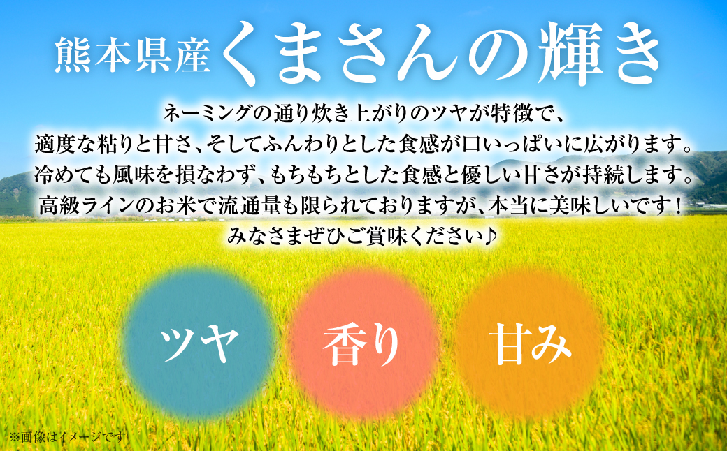 【先行予約】 【令和7年産】 ≪新米≫ 熊本県産 くまさんの輝き10kg （5kg×2袋） オリジナルパッケージ 【2025年11月上旬より順次発送】