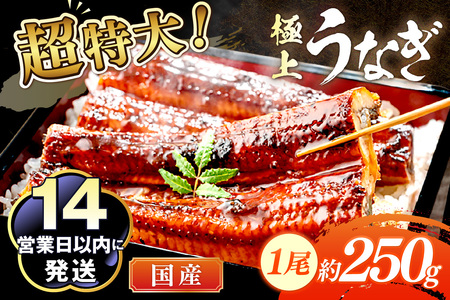 【国産鰻】うなぎ蒲焼き 1尾 250g前後 | うなぎ