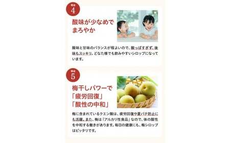 完熟梅シロップ 330g×2  / 和歌山 田辺市 紀州南高梅 南高梅 梅 梅シロップ 梅ジュース【kbe024】