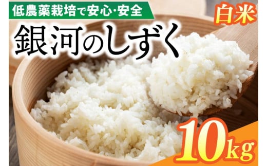 【新米】令和6年産 銀河のしずく 10kg (精米) 低農薬栽培米 生産者直送 生産地域限定ブランド米 (EI013)