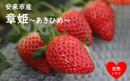 いちご 章姫 2パックセット［島根県安来産　完熟いちご］ 先行予約 受付 完熟 苺 イチゴ 島根県産 甘い 人気 特産品 高級 フルーツ デザート 