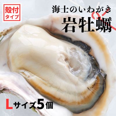 【ふるさと納税】【のし付き いわがき 殻付きLサイズ 5個】海士のいわがき岩牡蠣 生食可 冷凍 牡蛎 牡蠣 かき カキ 岩牡蠣 いわがき 冷凍 お歳暮