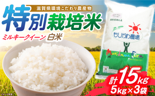 【新米：令和6年産】滋賀県 低農薬栽培 ミルキークイーン 白米 5kg×3袋　滋賀県長浜市/有限会社もりかわ農場 [AQBL020] 米 お米 白米 新米 15kg  米 お米 ご飯 ごはん ゴハン