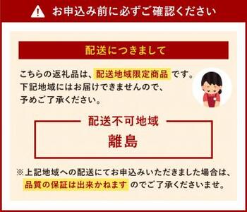 やまや 博多長浜ラーメン 5食入り×3箱 豚骨 とんこつ ラーメン