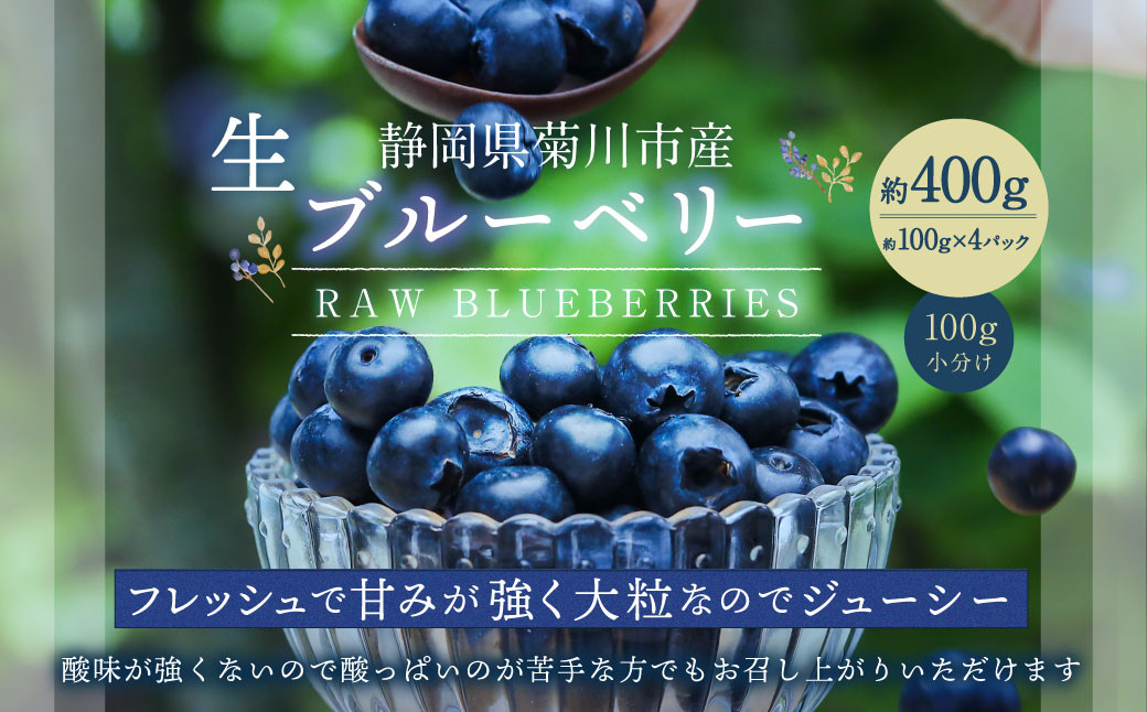 
                  生ブルーベリー 計約400g（約100g×4パック）【2027年4月下旬-6月上旬発送予定】｜ ブルーベリー 果物 フルーツ 静岡県 菊川市
                