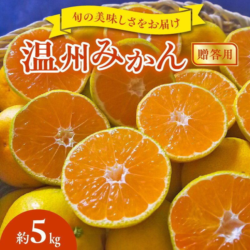 【ふるさと納税】贈答用 温州みかん 約 5kg 1箱 進栄 柑橘 果実 常温 果物 ビタミンC 豊富 みかん 旬 国産 フルーツ デザート 熊本 九州 食品 お取り寄せ お取り寄せフルーツ 送料無料【熊本県宇土市】