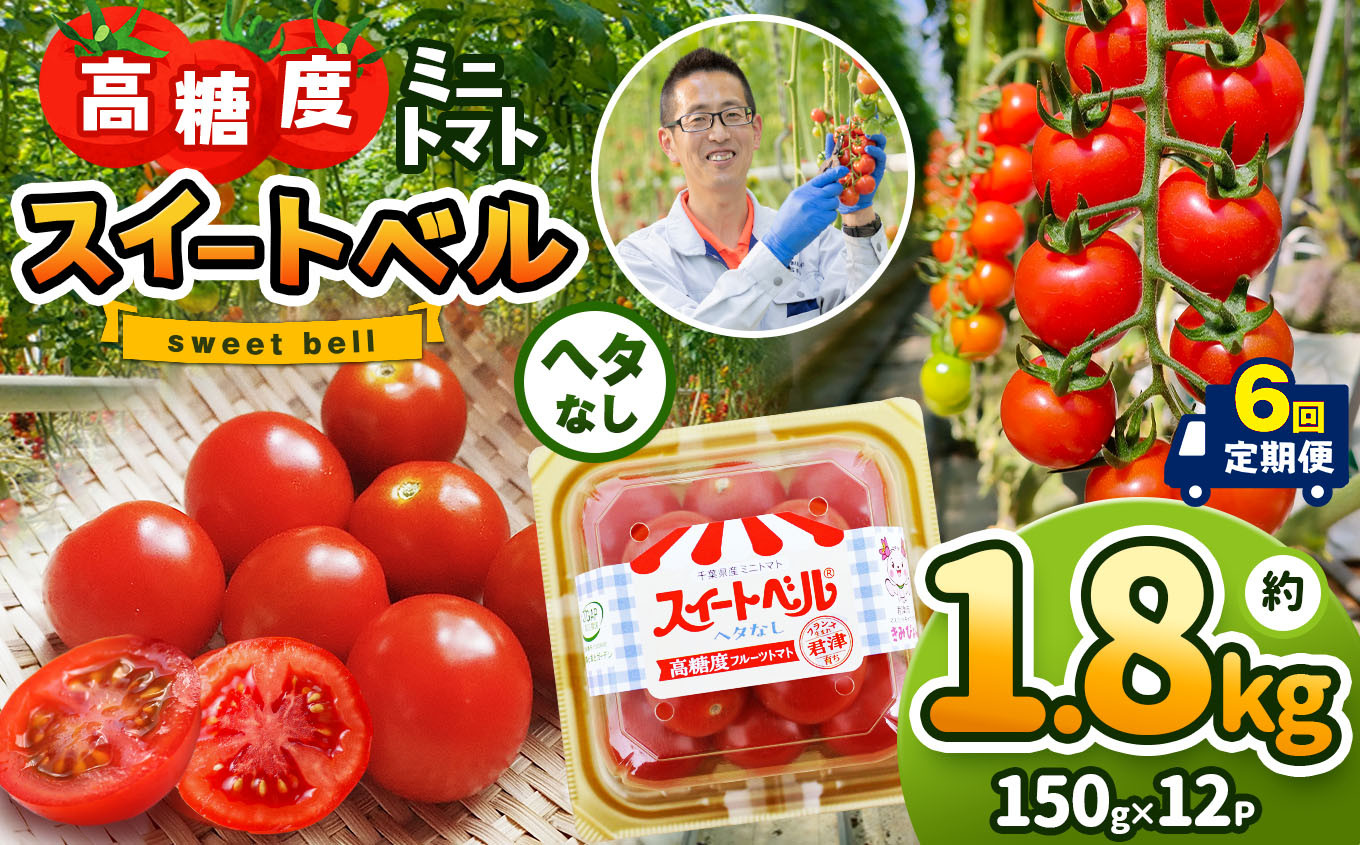 
【定期便6回】 高糖度 ミニトマト スイートベル （ ヘタなし ） 150g × 12P | 野菜 トマト ミニトマト プチトマト トマト 高糖度 トマト とまと 小分け 君津とまとガーデン 定期便 定期 6回 千葉 君津 きみつ
