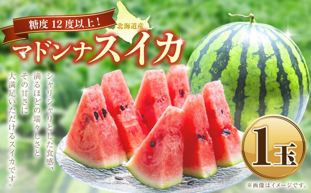 
                  マドンナスイカ  1玉　（2～3Lサイズ） 【2026年7月上旬～2026年7月下旬発送予定】 くだもの 果物 果実 フルーツ 西瓜 すいか スイカ 季節のフルーツ 旬のフルーツ 旬 甘い マドンナ 北海道 浦臼町
                
