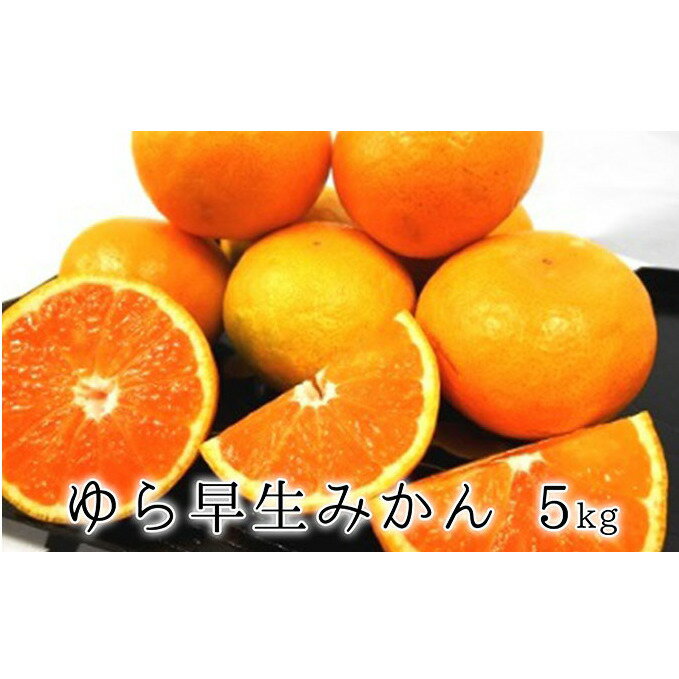 【ふるさと納税】【2025年10月上旬より順次発送】甘みと酸味がギュッ　ゆら早生みかん5kg◆ | 果物類・柑橘類・みかん・フルーツ・ミカン・蜜柑・くだもの