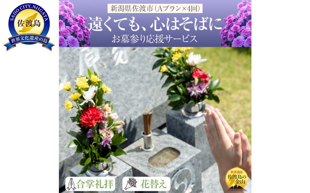 
            【新潟県佐渡】佐渡島内　お墓参りプランAを年4回　応援サービス　合掌拝礼・花替え・簡易清掃・タクシー送迎（5,000円まで年1回付き）　「遠くても、心はそばに」
          