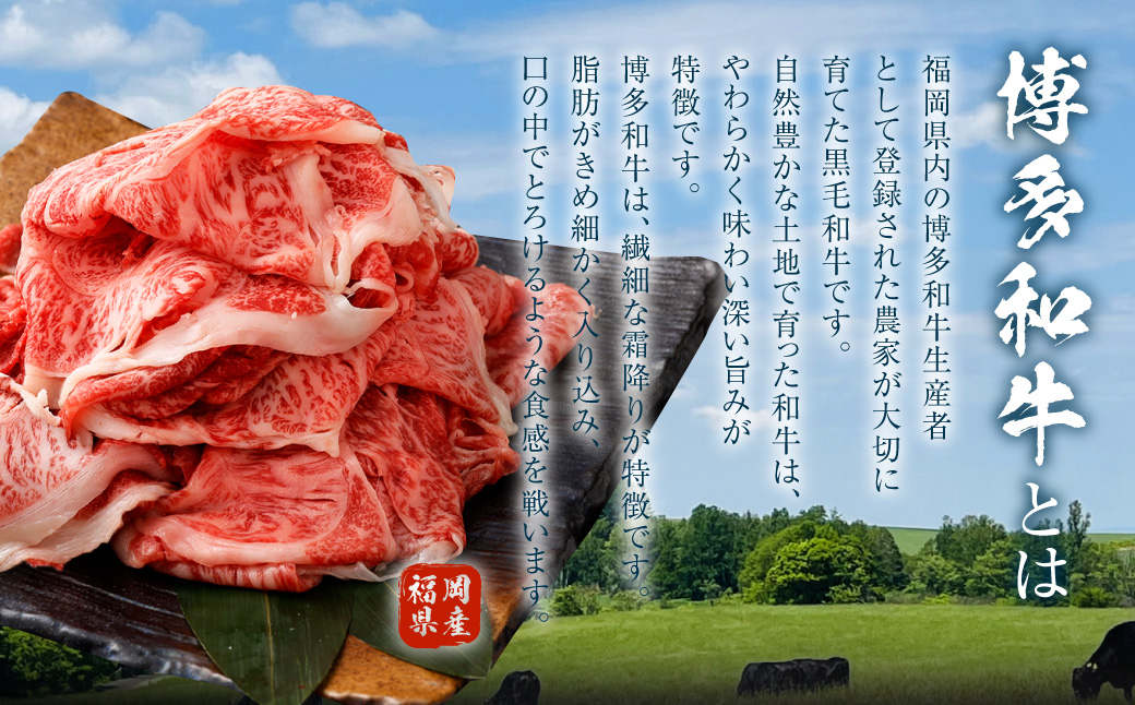 博多和牛 リッチな切り落とし 300g×6パック 計約1.8kg 肉 牛肉 お肉 すき焼き 切り落とし