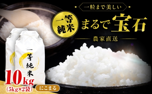 【通常発送】一等純米 にこまる 10kg / 米 お米 精米 白米 一等米 愛知県産 国産米 / 稲沢市 / 有限会社ハシモト耕販 [BMBP003]