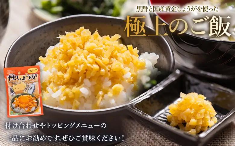 味付け 極しょうが 110g×10袋 計1100g しょうが Xnb-0014