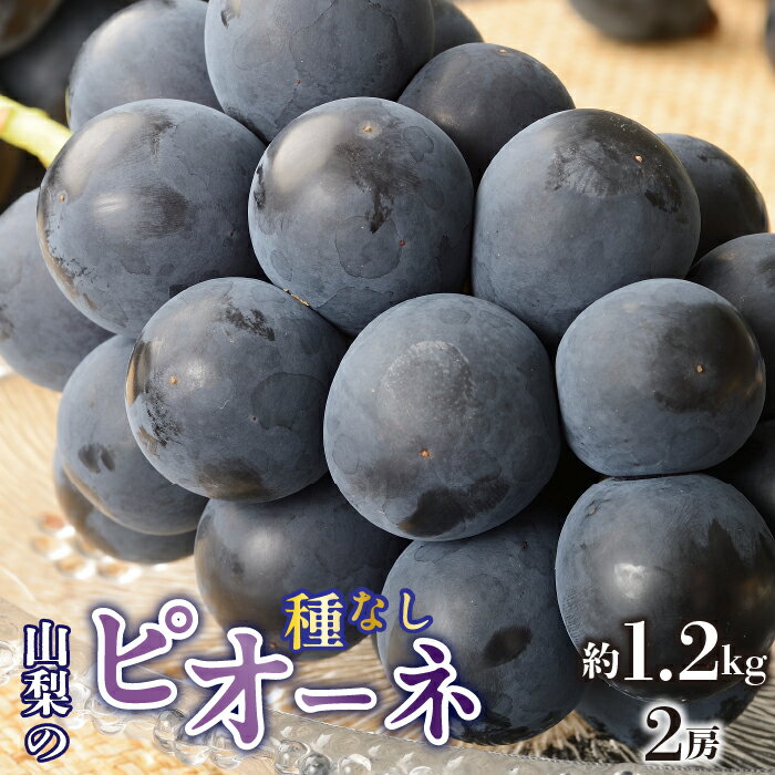 【ふるさと納税】ふるさと納税 種無し ピオーネ 種なし 先行予約 ぶどう 葡萄 青果 フルーツ ブドウ 人気 ギフト プレゼント お祝い 山梨県 昭和町 贈り物 送料無料 おすすめ＜2026年/令和8年発送先行予約＞種無しピオーネ　約1.2kg　2房SWAO001