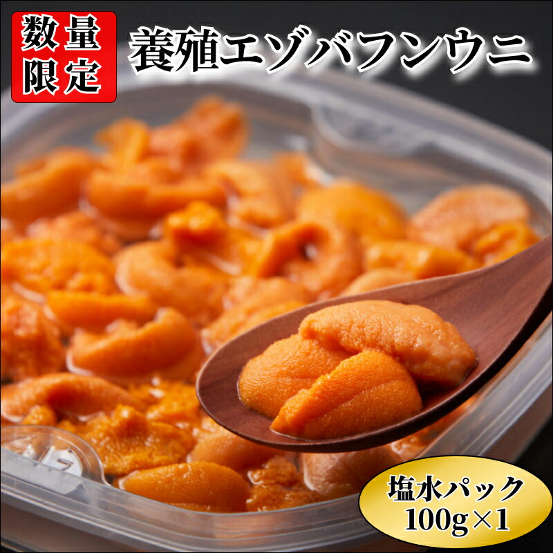 【ふるさと納税】 【レビューキャンペーン対象】浜中産 養殖 エゾバフンウニ 塩水パック 100g 数量限定 生うに 新鮮 海鮮 魚介類 海の幸 海産物 うに丼 パスタ 寿司 軍艦巻き 手巻き おかず おつまみ お取り寄せ グルメ ご褒美 贅沢 食品 冷蔵 北海道 浜中町 送料無料