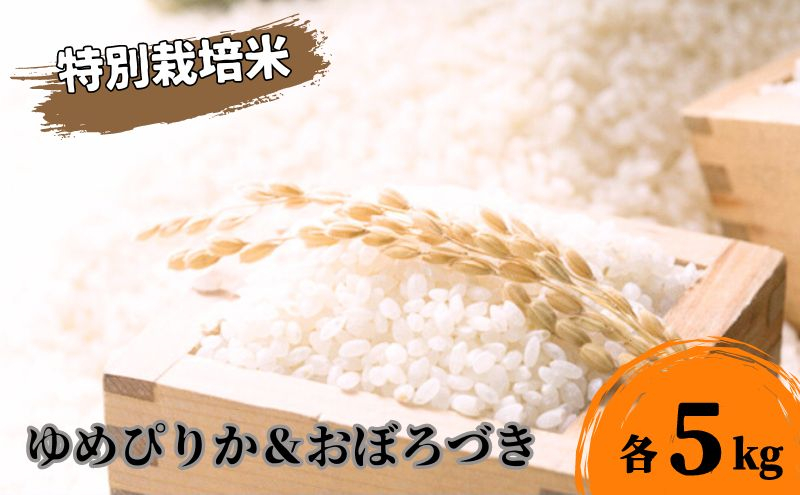 
北海道 日高【田中農園】R6年産 ゆめぴりか ＆ おぼろづき 各5kg 食べ比べ セット 特別栽培米
