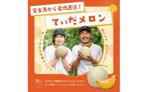 JC006【8farｍ】宮古島産てぃだメロン2玉（3.8kg以上）《2025年5月～6月発送》