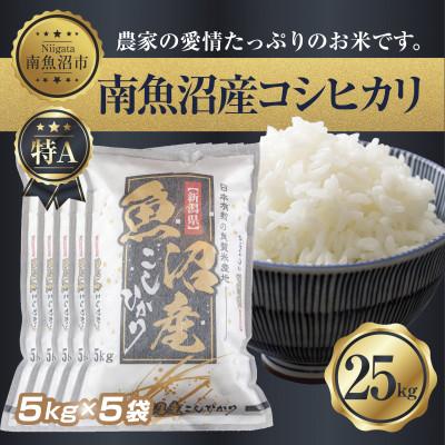 ふるさと納税 南魚沼市 【無洗米】南魚沼産 コシヒカリ 5kg×5 計 25kg(お米の美味しい炊き方ガイド付き)