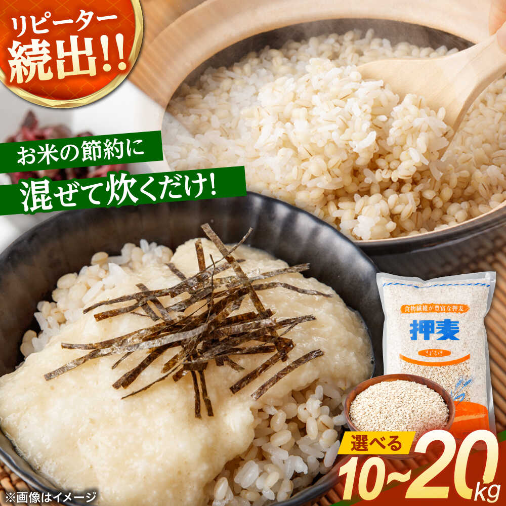 【ふるさと納税】〈選べる容量〉押麦「長崎御島」 10kg 20kg(1kg/袋) / 麦 むぎ 押麦 はだか麦 麦味噌 雑穀 雑穀米 食物繊維 長崎県産 米 こめ コメ ※ / 諫早市 / 有限会社伊東精麦[AHBU009]