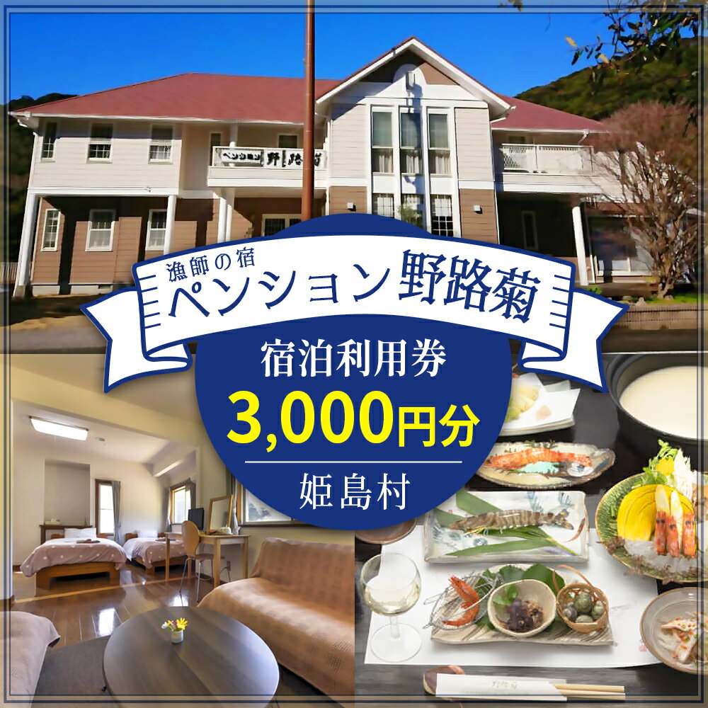 【ふるさと納税】姫島村 ペンション野路菊 宿泊利用券 3,000円分 漁師が営む ペンショントラベル クーポン チケット ジオパーク 国内旅行 観光 予約 宿泊券 宿泊 九州 大分県 姫島村 T1