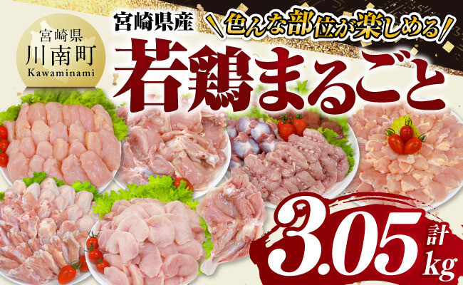 
            宮崎県産若鶏　まるごと3.05kg 【 もも むね ささみ 砂肝 手羽先 手羽元 小肉 鶏肉 とり肉 セット ごはん 料理 】
          