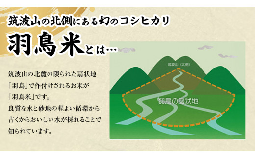 《 令和7年産 先行予約 》 コシヒカリ 「幻の米 羽鳥米」 10kg (5kg × 2袋) 筑波北麓秘蔵米 お米 ごはん 精米 コメ 白米 国産 茨城県 桜川市 限定 期間限定 数量限定 銘柄米 [
