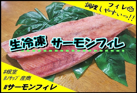 【北海道根室産】サーモンフィレ2枚(計1.5kg以上) B-59016