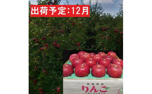 12月発送 蜜入り 最高等級「特選」大玉 葉とらず サンふじ 約5kg 糖度14度以上 【 弘前市産 青森りんご 】※オンライン決済のみ