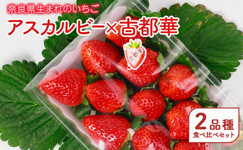 奈良県生まれのいちご アスカルビー×古都華　2品種食べ比べセット 果物 フルーツ いちご 苺 イチゴ ストロベリー アスカルビー 古都華 おやつ 食べ比べ お取り寄せ セット 大和郡山市 BN001