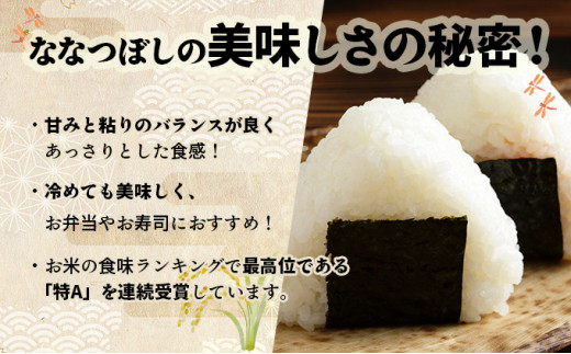 令和7年産 上志文産メープル米「ななつぼし」5kg