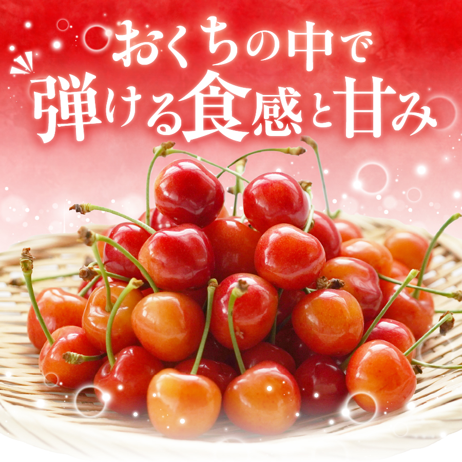 【2026年発送】【数量限定】【期間限定】山梨県産 紅秀峰 さくらんぼ (500g) バラ詰め