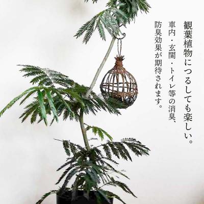 ふるさと納税 鶴岡市 山葡萄すみカゴ くるみ炭入り【天然山形県産で手作り】小　アトリエかおる |  | 02