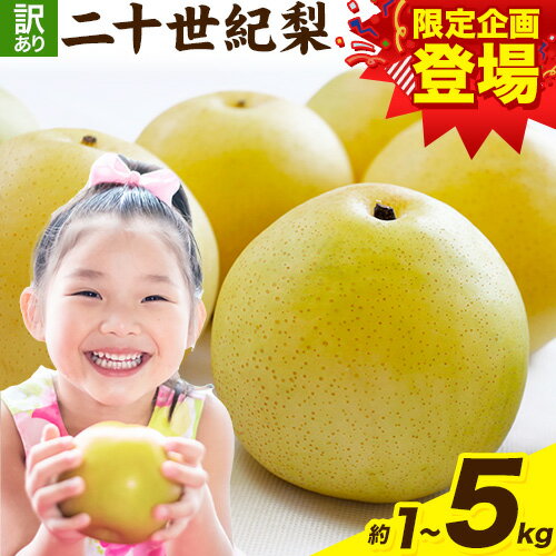 【ふるさと納税】【楽天限定】梨 なし 二十世紀梨 選べる 約1kg (2~5玉) 約3kg (6~15玉) 約5kg (10~25玉) 《2026年8月下旬-9月下旬頃出荷》二十世紀梨 梨 ご家庭用 旬 二十世紀 鳥取県 八頭町 なし 果物 フルーツ 特産品 送料無料 デザート【2026年先行予約】