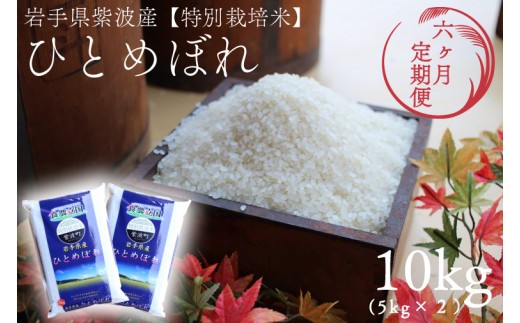 
                  ★令和7年産★【6回定期便】特別栽培米 ひとめぼれ 10kg（5kg×2袋）岩手県紫波町産 (AD054)
                