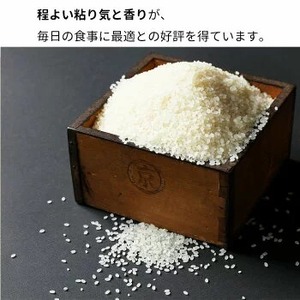 米 京都丹波亀岡産 キヌヒカリ 5kg 精米 白米