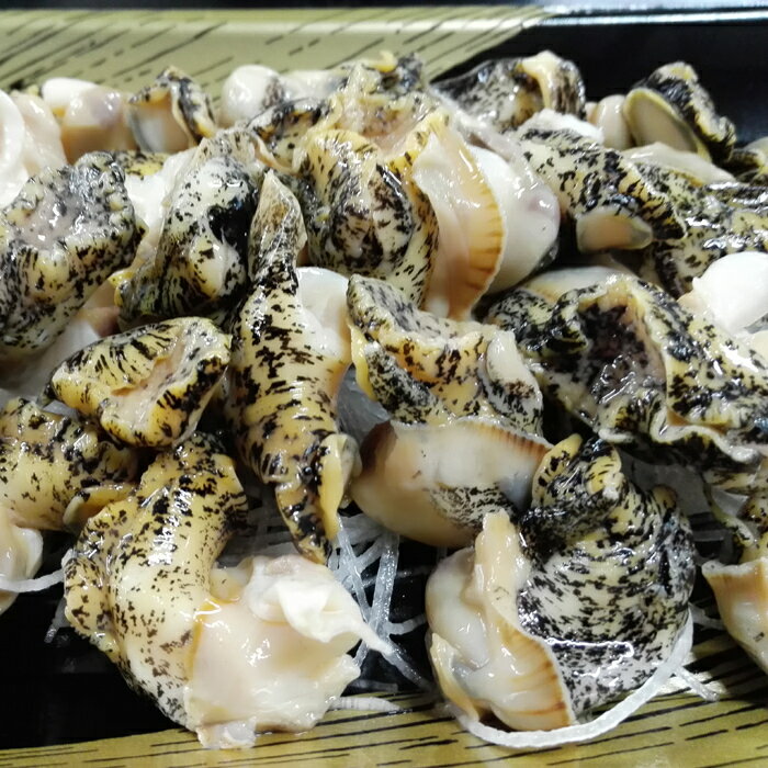 【ふるさと納税】[北海道根室産]生食用灯台つぶ(ボイル済)250g 選べる 2P 4P ツブ つぶ貝 ツブ貝 貝 北海道 根室市