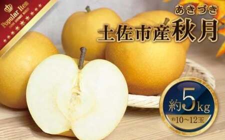 【先行予約】高知県土佐市産 梨（秋月）約5kg 10～12玉 〈2026年9月10日頃～9月30日頃発送〉 あきづき なし ナシ 5キロ 国産 フルーツ 果物 くだもの デザート スイーツ 旬 甘い 果汁たっぷり ジューシー【株式会社とさもん】[BQAE021]