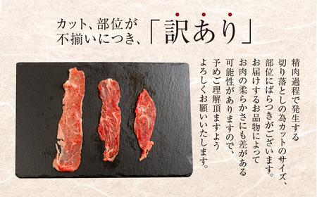 トキノ屋食品 A5等級 飛騨牛切り落とし 400g 5回お届け定期便[mt404]