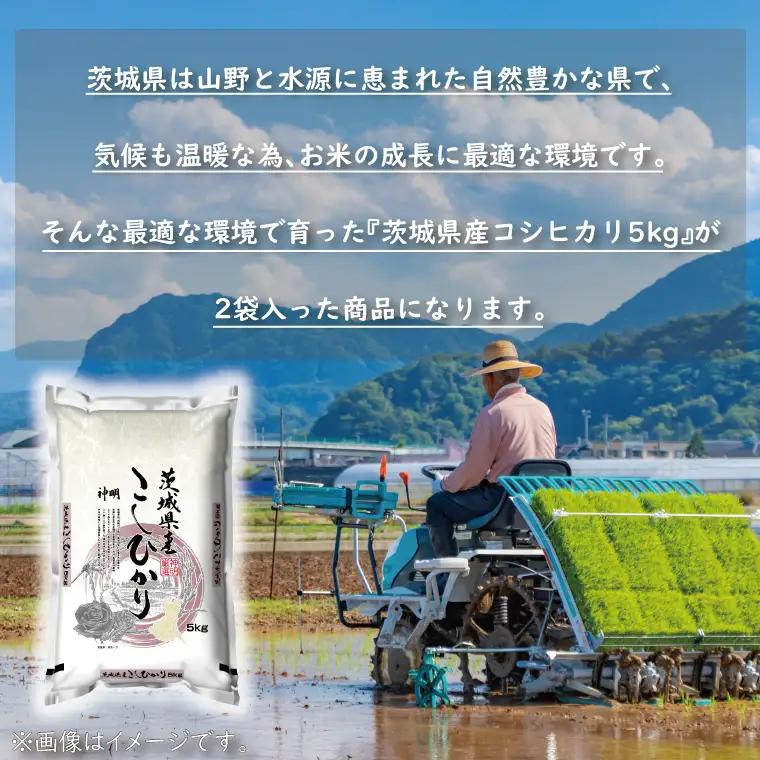 令和7年産 茨城 コシヒカリ 10kg (5㎏×２袋) 米 精米 茨城県産_CU001