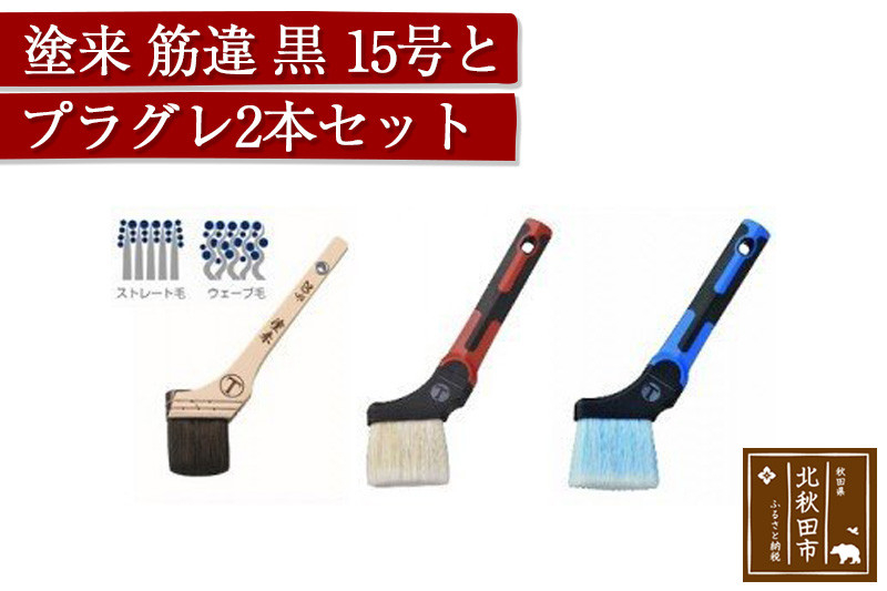 
塗来（筋違　黒　15号）とプラグレ２本セット
