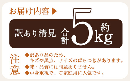 ＜訳あり 清見 (サイズ混合) 約5kg＞ 愛媛 蜜柑 ミカン みかん 果物 フルーツ 柑橘 国産 きよみ 訳アリ ご家庭用 愛媛県産 西予市産 西宇和 特産品 丸二青果 愛媛県 西予市【常温】『20