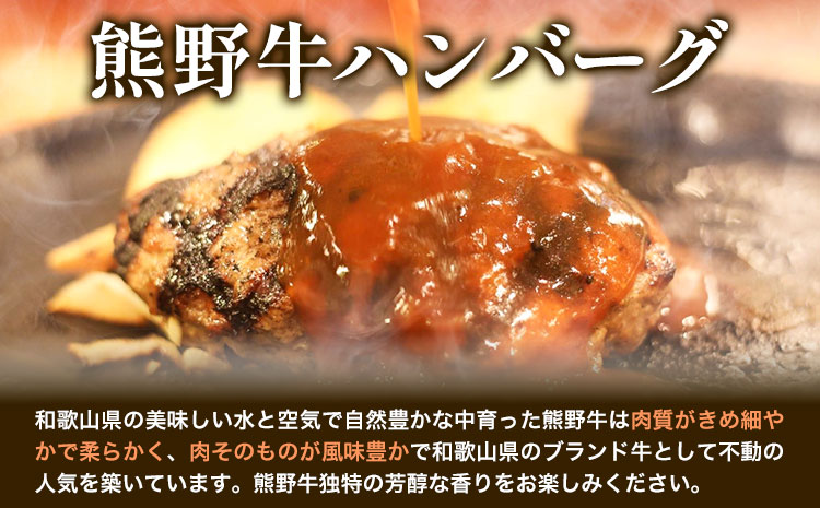 贅沢グルメを味わえる熊野牛「生」ハンバーグ10個セット神戸屋《90日以内に出荷予定(土日祝除く)》牛うしハンバーグ生ハンバーグ惣菜---wsh_fswknhb_90d_22_25000_10p---