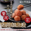 【ふるさと納税】【紀州南高梅】紀州極上漬( 1kg×1箱） | 梅干し 梅干 和歌山県 お取り寄せ うめ 梅 ご当地 お土産 ご飯のお供 ご飯のおとも ごはんのお供 ご飯の友 ごはんのおとも 支援 おにぎりの具 返礼品 うめぼし ウメ おにぎり 具 グルメ 国産 楽天ふるさと 納税