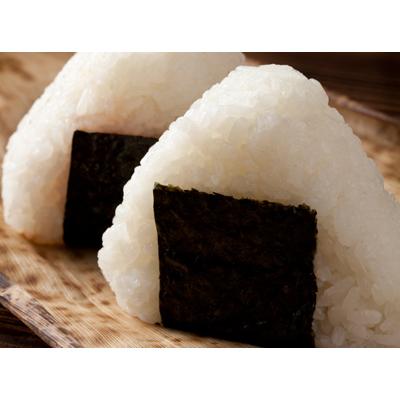 ふるさと納税 静岡市 《磯駒海苔》　【訳あり】はねだし焼のり　10枚入×10袋・あおさのり 5袋 |  | 01