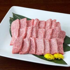 【黒毛和牛】熊本県産 焼き肉用 ロース 600g(300g×2パック)(益城町)【配送不可地域：離島】【1525201】