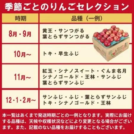 りんご 品種おまかせ 約3kg 訳あり CA貯蔵 クール便_果物・フルーツ りんご  リンゴ 林檎_【配送不可地域：離島・沖縄県】【1612943】